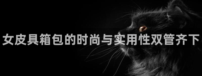 卧龙棋牌娱乐官网