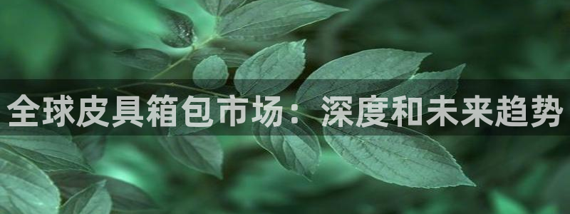 卧龙台球娱乐