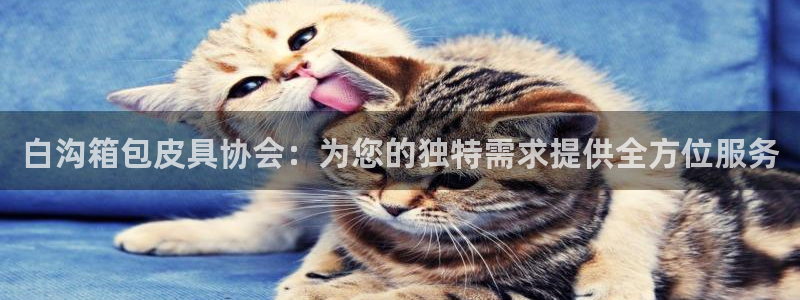 卧龙娱乐挂机软件下载