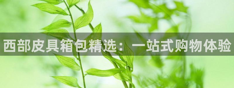 卧龙湾娱乐项目有哪些