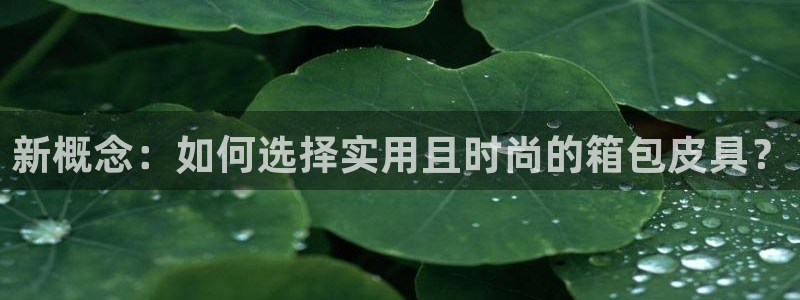 BA娱乐卧龙招商60447