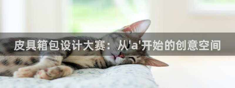 卧龙岗娱乐