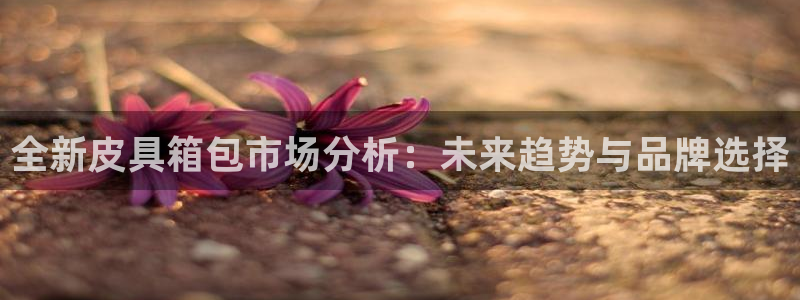 卧龙娱乐在线官网