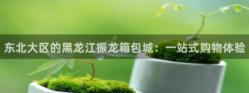 卧龙吟娱乐将