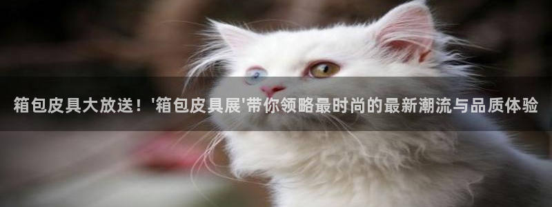 卧龙娱乐怎么注册公司