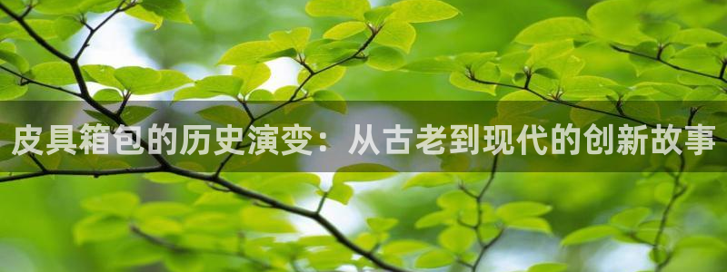 卧龙娱乐在线直播观看