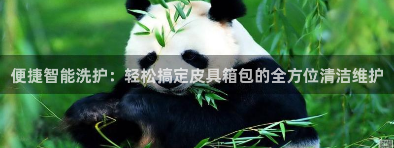 卧龙娱乐拆卡攻略