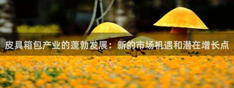 娱乐聚焦卧龙凤雏