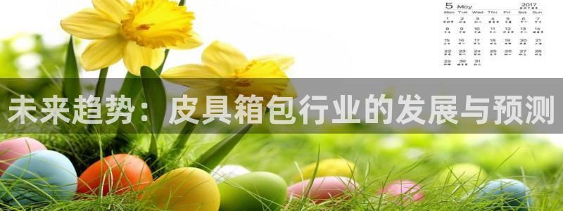 卧龙娱乐注册地址在哪里