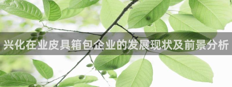 e彩娱乐 卧龙股东60447