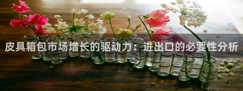 卧龙凤雏娱乐解说