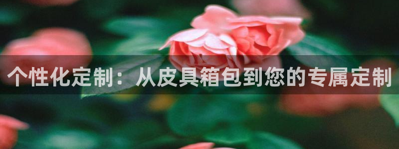 卧龙娱乐在线直播平台