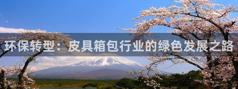 卧龙娱乐下载安装