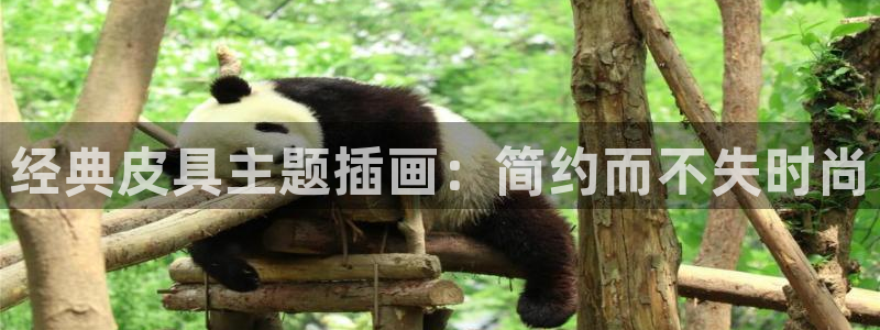 卧龙娱乐彩下载