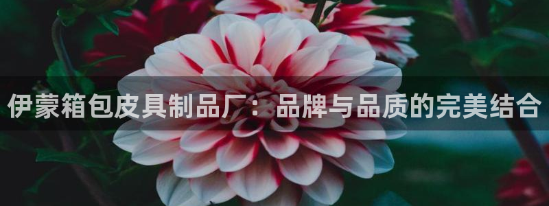 卧龙娱乐在线直播平台