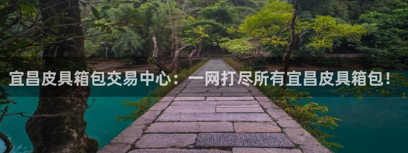 卧龙娱乐注册网址多少