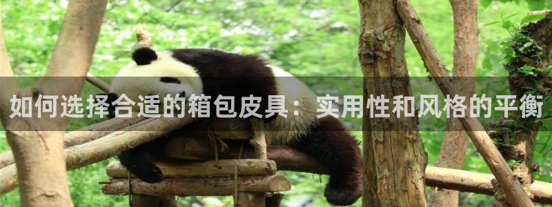卧龙区夜晚娱乐