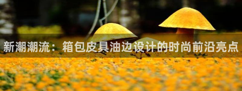卧龙凤雏娱乐版