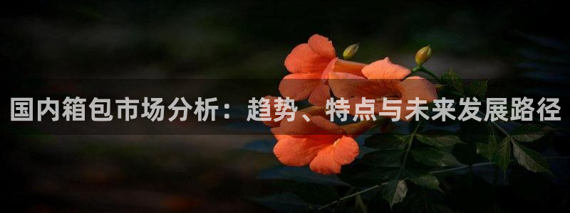 卧龙哥休闲娱乐