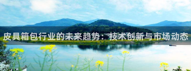 卧龙环岛儿童娱乐