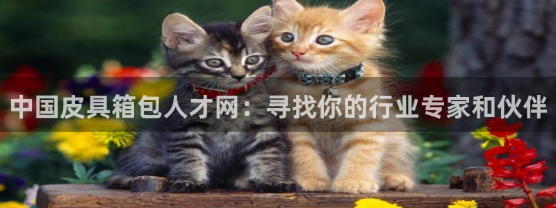 卧龙娱乐总代理电话