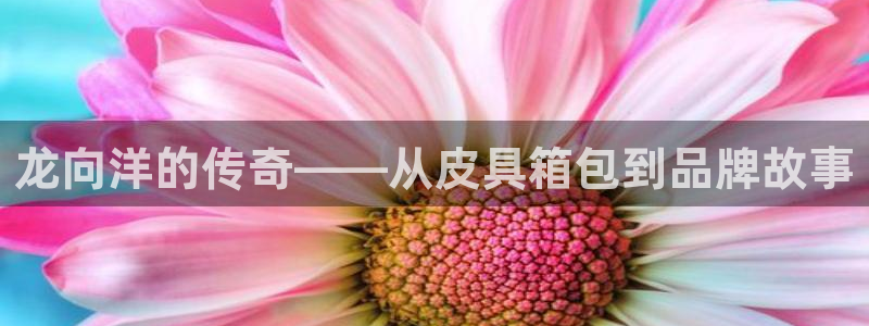 娱乐聚焦卧龙凤雏
