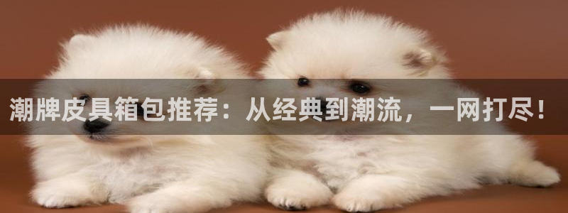 柏林娱乐- 0 7卧龙