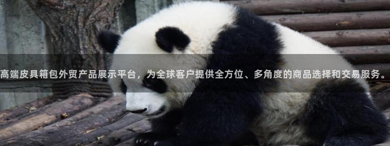 卧龙娱乐老板是谁