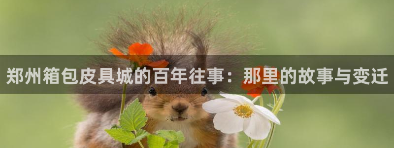 卧龙娱乐注册网址多少