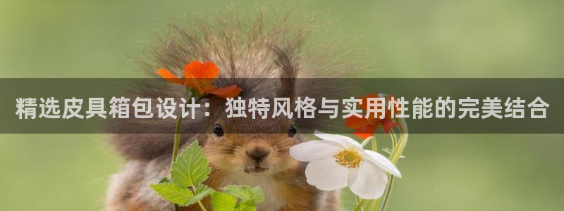 qq娱乐 卧龙主管60447