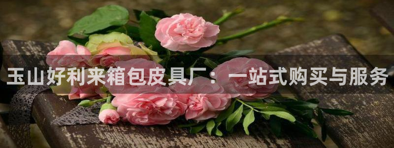 卧龙娱乐注册登录网址