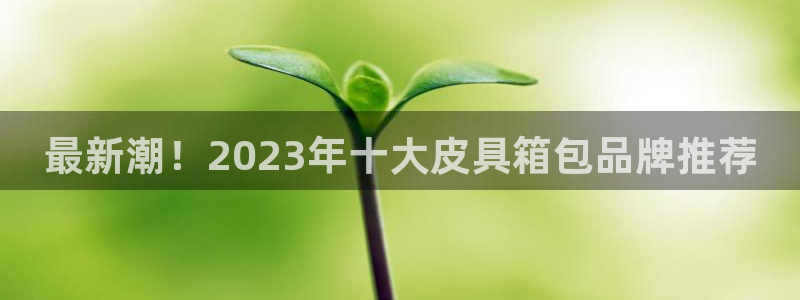 卧龙游乐娱乐设备