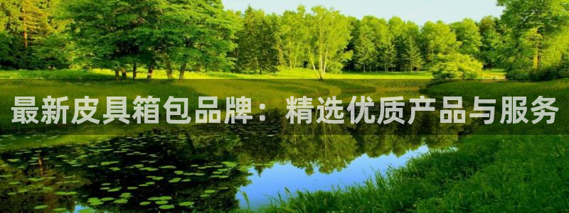 卧龙娱乐属于什么公司
