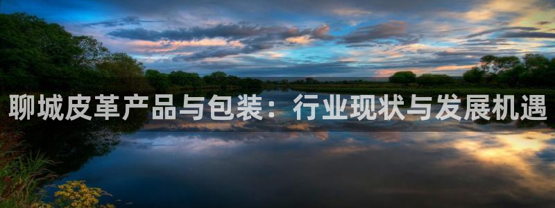 卧龙娱乐有限公司