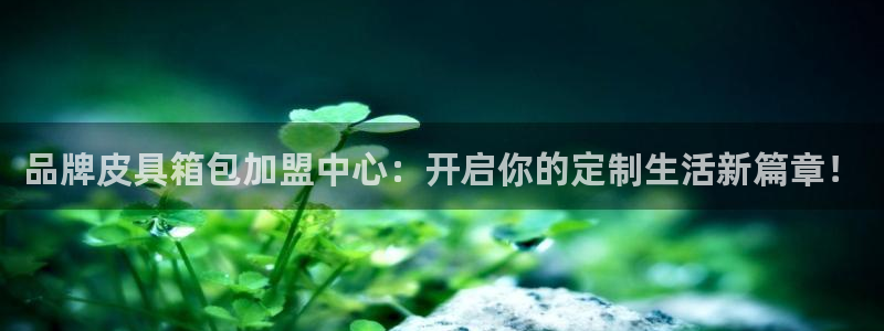 卧龙娱乐怎样注册公司