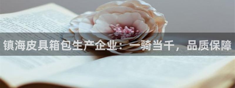 卧龙凤雏娱乐演员