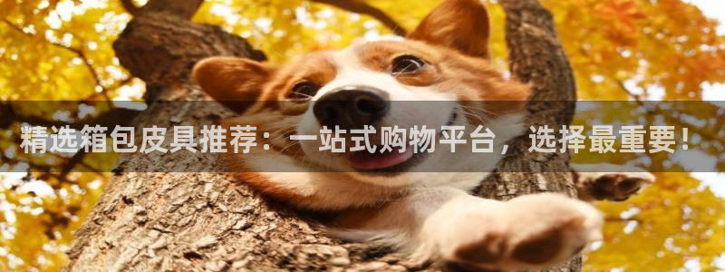 卧龙娱乐属于什么公司