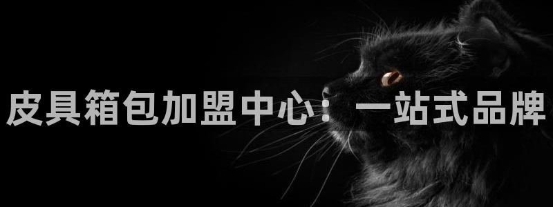 卧龙娱乐招商主管