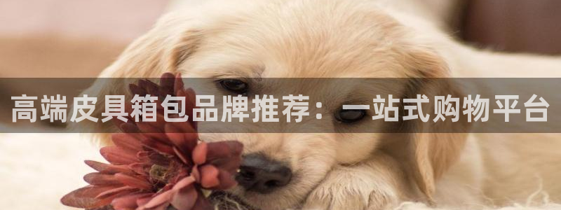 南阳卧龙水之梦娱乐会所