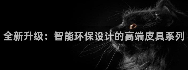 卧龙娱乐总代理是谁呀