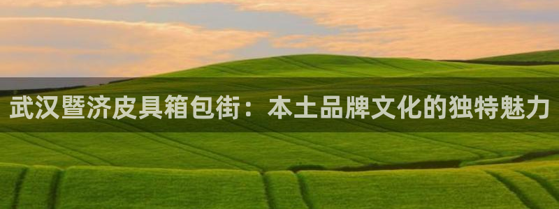 卧龙娱乐违法吗