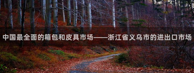 卧龙新款娱乐设备