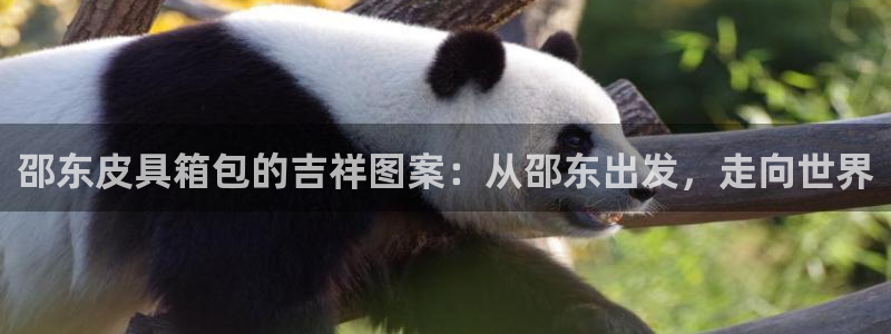 卧龙娱乐怎样注册会员