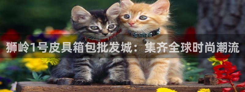 太和卧龙娱乐会所招聘