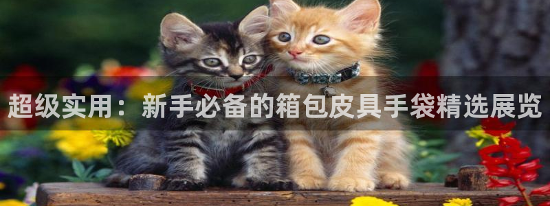 卧龙环岛儿童娱乐