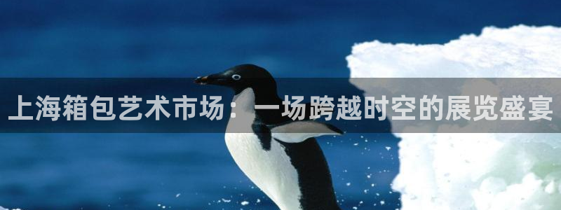 卧龙娱乐在线直播网