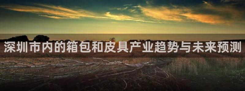 卧龙娱乐号