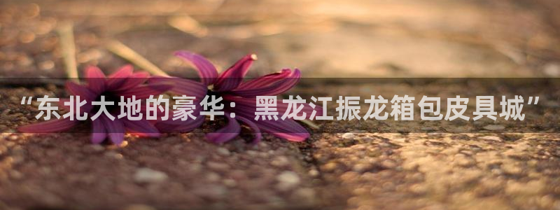 卧龙娱乐总管是谁呀
