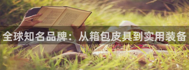 娱乐小卧龙