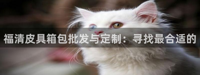 卧龙娱乐注册地址在哪里